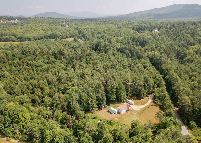 469 Old County Rd, Brownfield, ME 04010 - photo 40