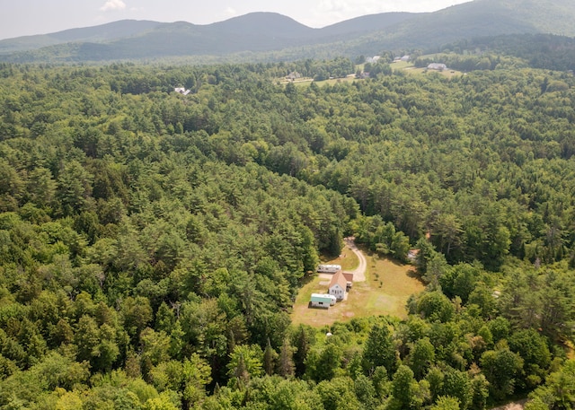 469 Old County Rd, Brownfield, ME 04010 - photo 41