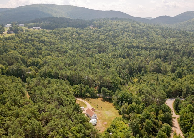 469 Old County Rd, Brownfield, ME 04010 - photo 42