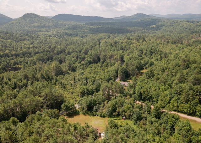 469 Old County Rd, Brownfield, ME 04010 - photo 43