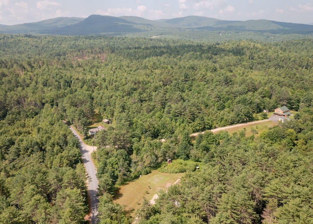 469 Old County Rd, Brownfield, ME 04010 - photo 44