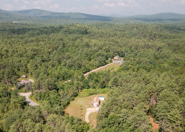469 Old County Rd, Brownfield, ME 04010 - photo 45