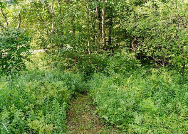 469 Old County Rd, Brownfield, ME 04010 - photo 47