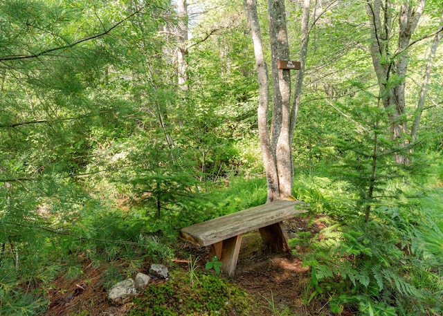 469 Old County Rd, Brownfield, ME 04010 - photo 48