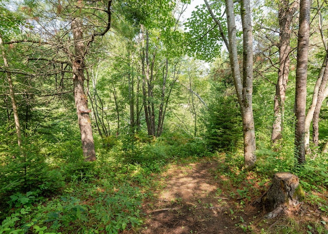 469 Old County Rd, Brownfield, ME 04010 - photo 49
