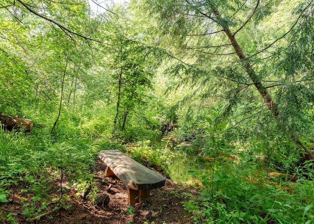 469 Old County Rd, Brownfield, ME 04010 - photo 51