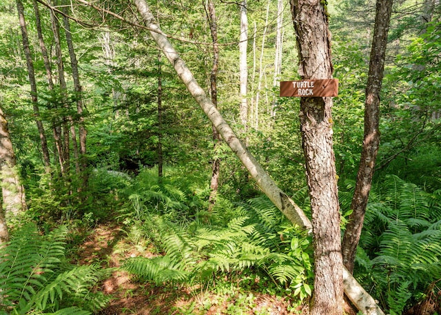 469 Old County Rd, Brownfield, ME 04010 - photo 54