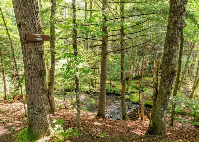 469 Old County Rd, Brownfield, ME 04010 - photo 60