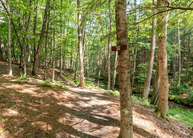 469 Old County Rd, Brownfield, ME 04010 - photo 61
