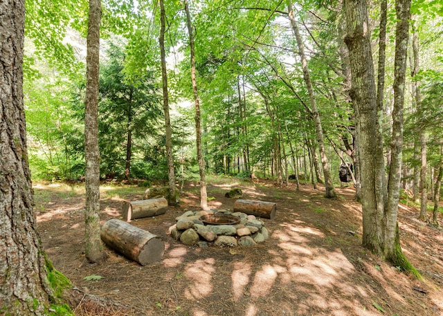 469 Old County Rd, Brownfield, ME 04010 - photo 62