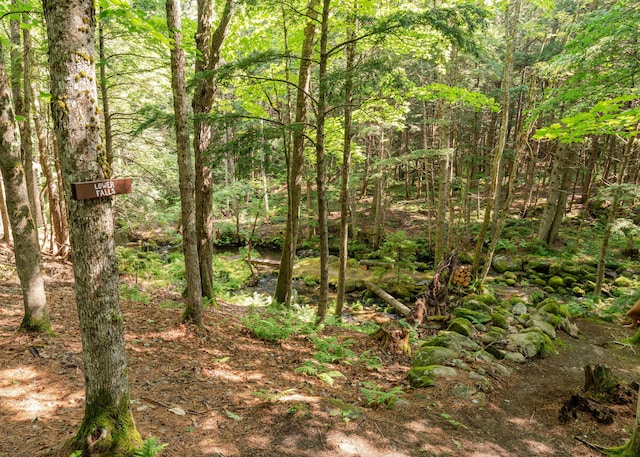 469 Old County Rd, Brownfield, ME 04010 - photo 63