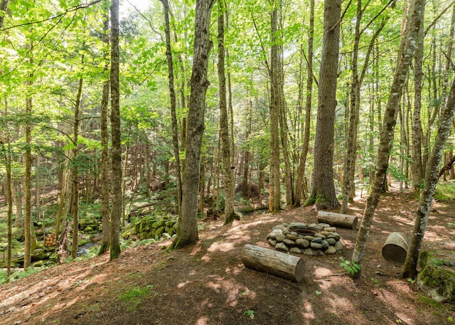 469 Old County Rd, Brownfield, ME 04010 - photo 67