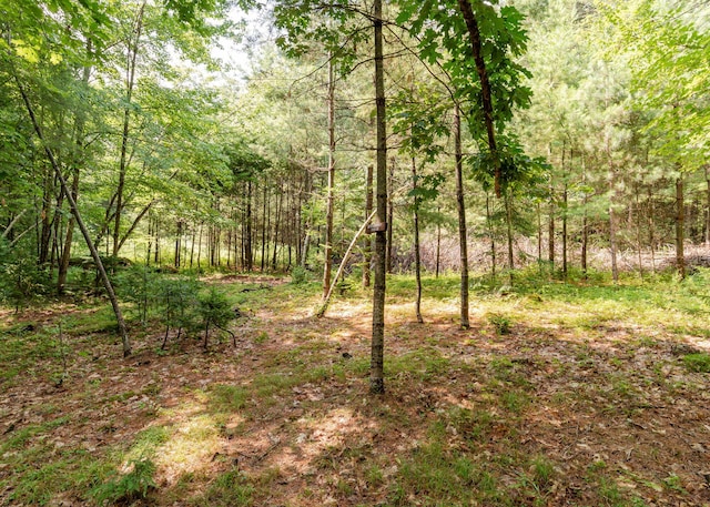 469 Old County Rd, Brownfield, ME 04010 - photo 74