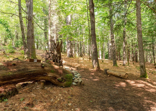 469 Old County Rd, Brownfield, ME 04010 - photo 75