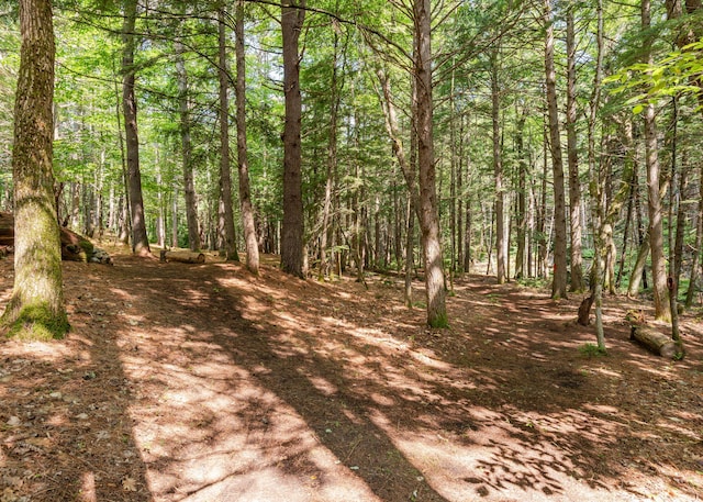 469 Old County Rd, Brownfield, ME 04010 - photo 78