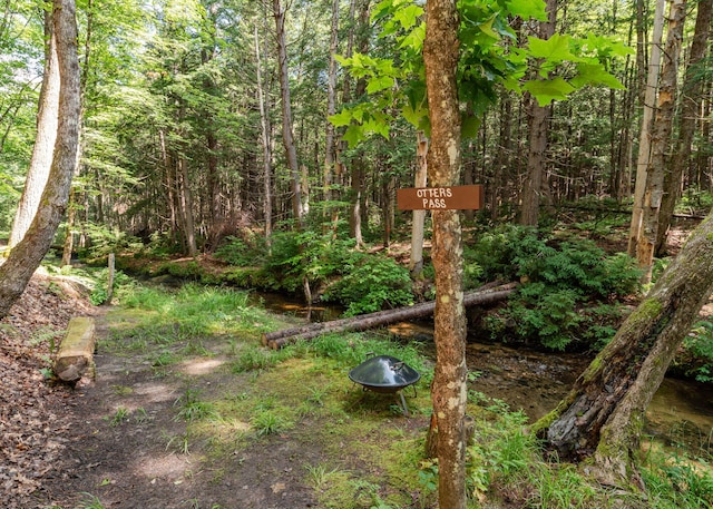 469 Old County Rd, Brownfield, ME 04010 - photo 79