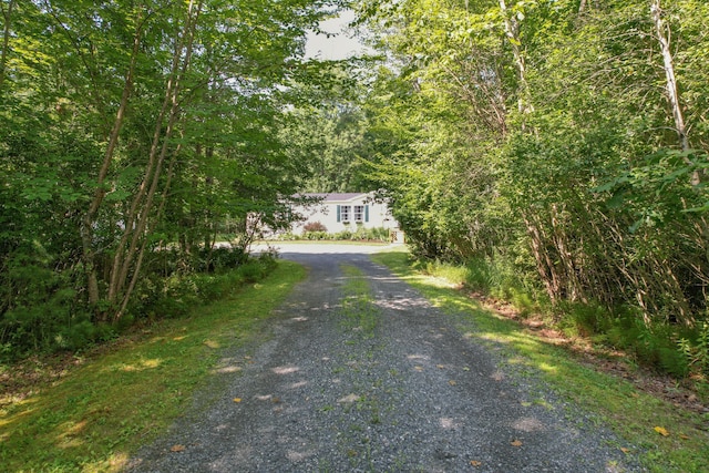275 Morgan Bay Rd, Surry, ME 04684 - photo 43