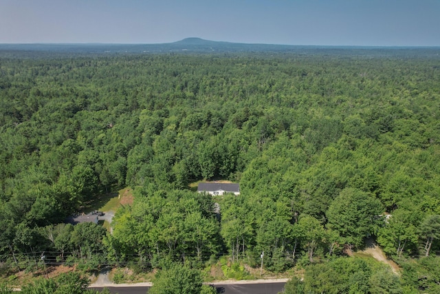 275 Morgan Bay Rd, Surry, ME 04684 - photo 48