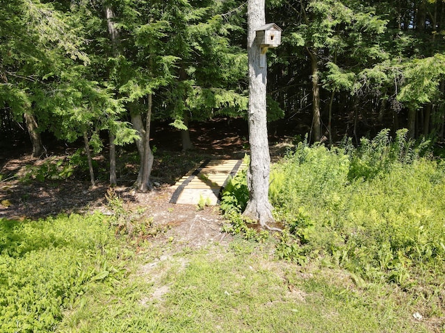 24 Western Ave, East Millinocket, ME 04430 - photo 31