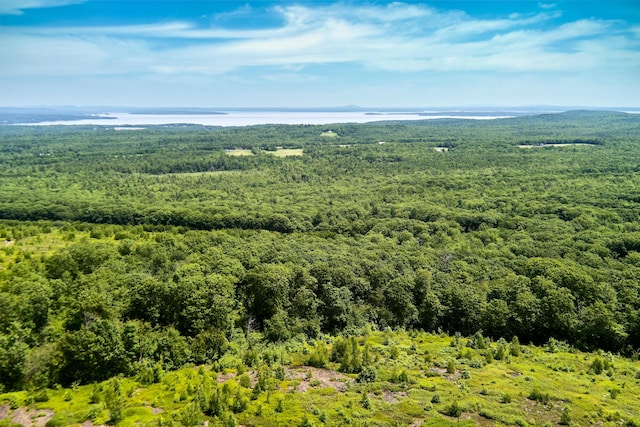 00 Armstrong Rd, Belfast, ME 04915 - photo 6