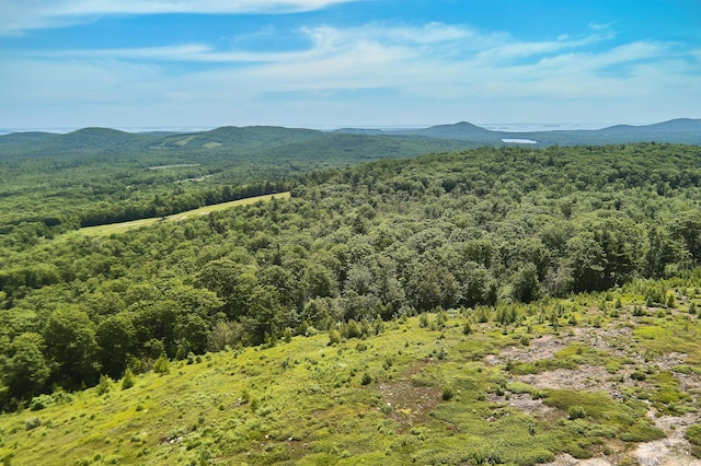 00 Armstrong Rd, Belfast, ME 04915 - photo 7
