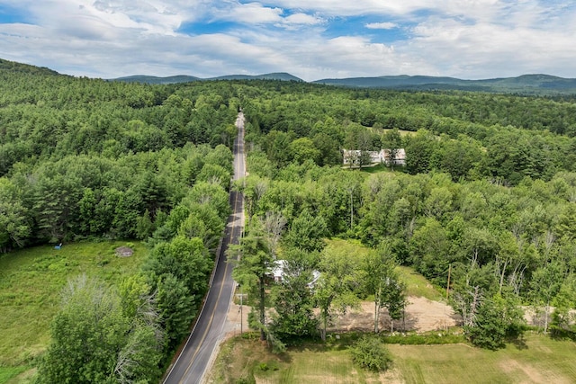 570 Maplewood Rd, Parsonsfield, ME 04047 - photo 22