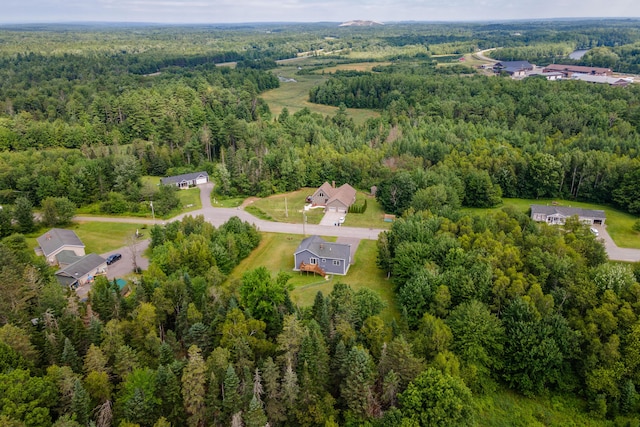 42 Littlefield Ln, Old Town, ME 04468 - photo 16