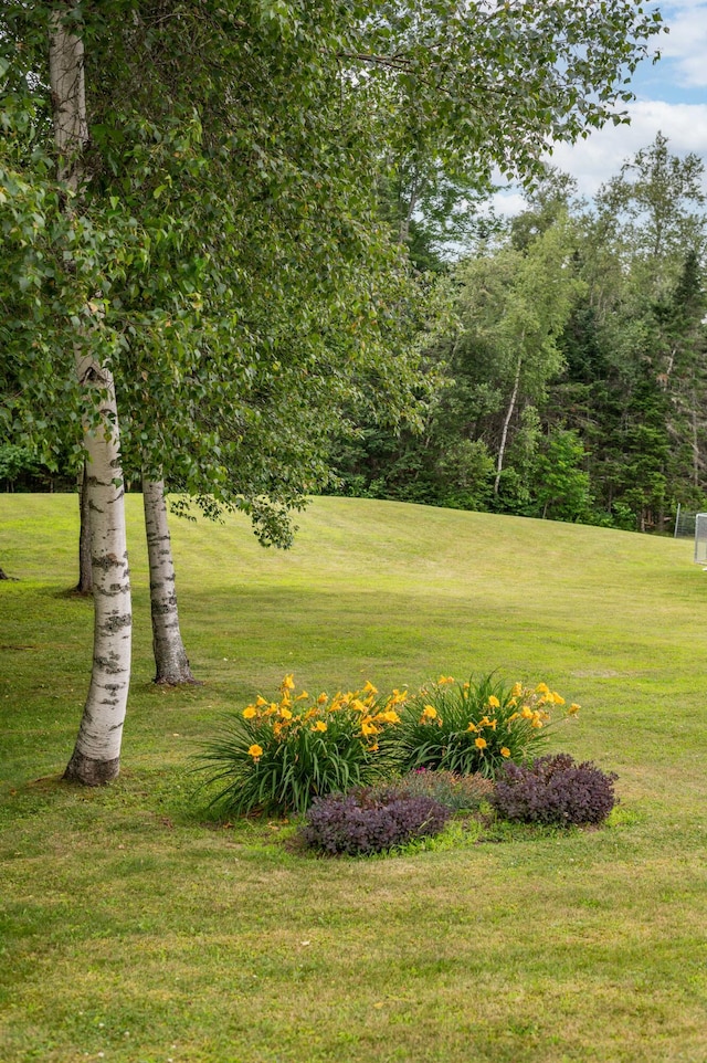 42 Littlefield Ln, Old Town, ME 04468 - photo 63