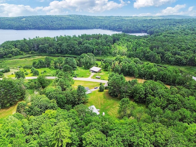 492 Webber Pond Rd, Vassalboro, ME 04989 - photo 43