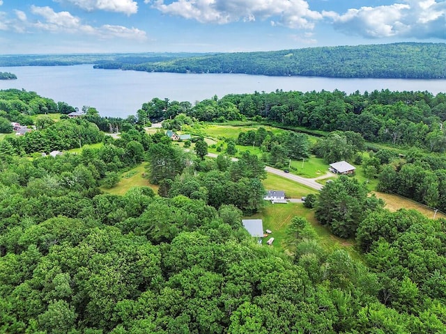 492 Webber Pond Rd, Vassalboro, ME 04989 - photo 45