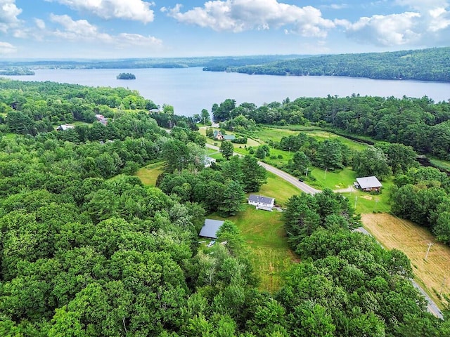 492 Webber Pond Rd, Vassalboro, ME 04989 - photo 47