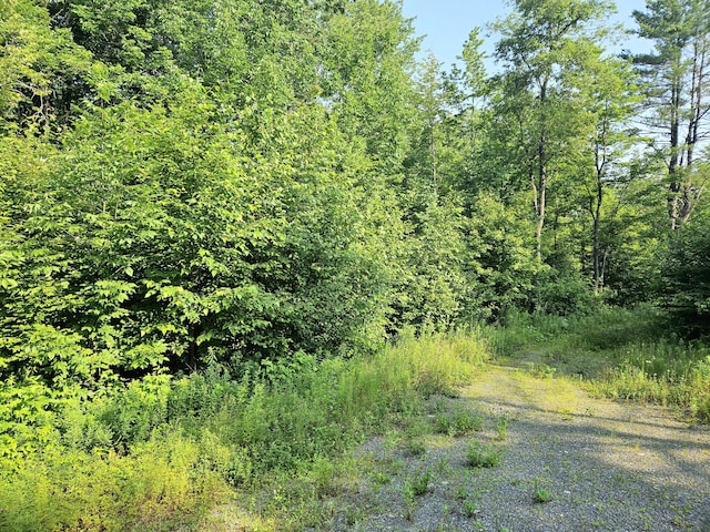 LOT11-1 High St, Brownville, ME 04414 - photo 3