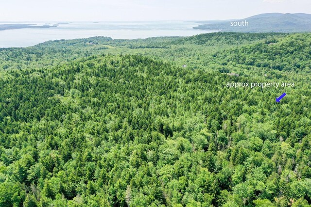 321 Atlantic Hwy, Northport, ME 04849 - photo 3
