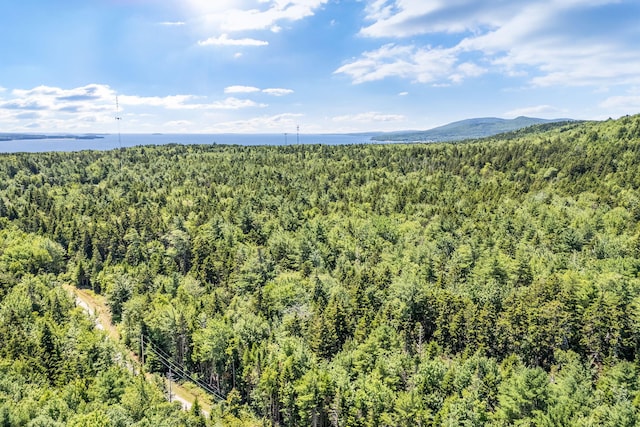 381 Atlantic Hwy, Northport, ME 04849 - photo 5