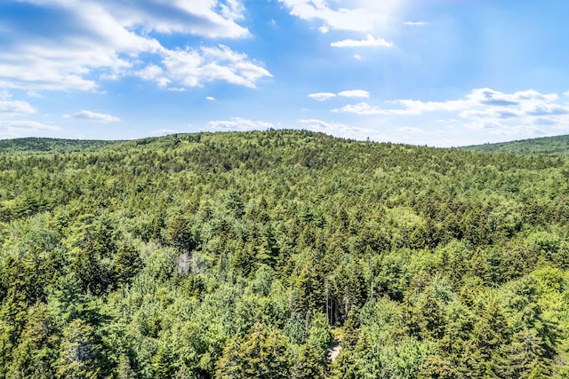 381 Atlantic Hwy, Northport, ME 04849 - photo 6