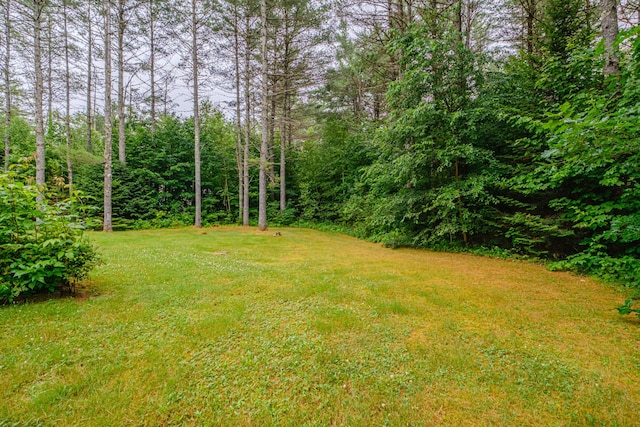19 Pine Haven Ln, Bethel, ME 04217 - photo 81