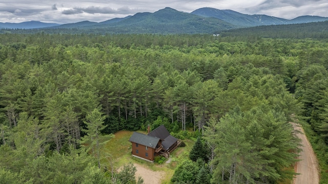 19 Pine Haven Ln, Bethel, ME 04217 - photo 86