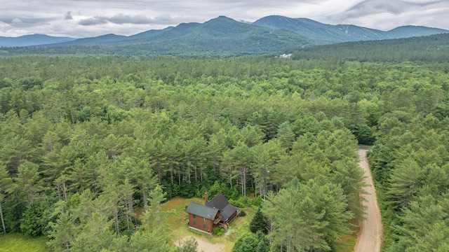 19 Pine Haven Ln, Bethel, ME 04217 - photo 87