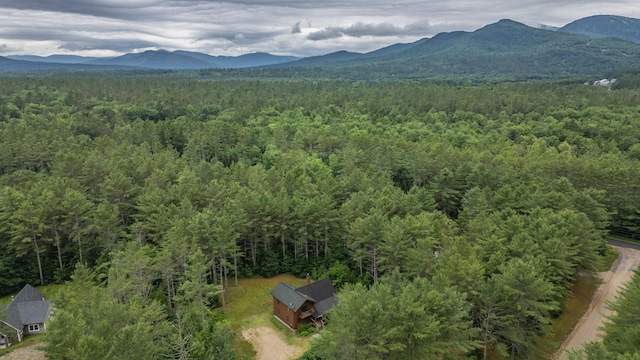 19 Pine Haven Ln, Bethel, ME 04217 - photo 88