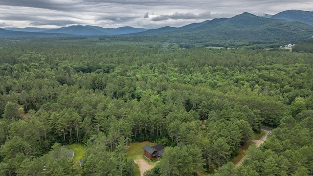 19 Pine Haven Ln, Bethel, ME 04217 - photo 89