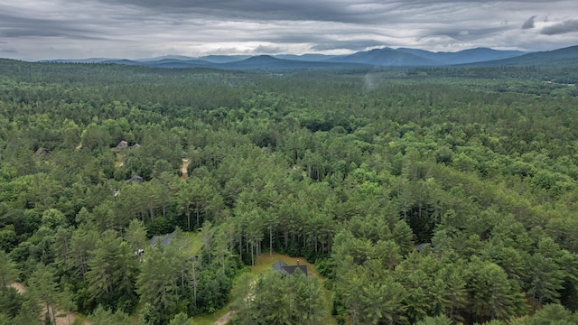 19 Pine Haven Ln, Bethel, ME 04217 - photo 90