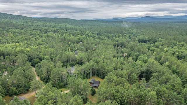 19 Pine Haven Ln, Bethel, ME 04217 - photo 91