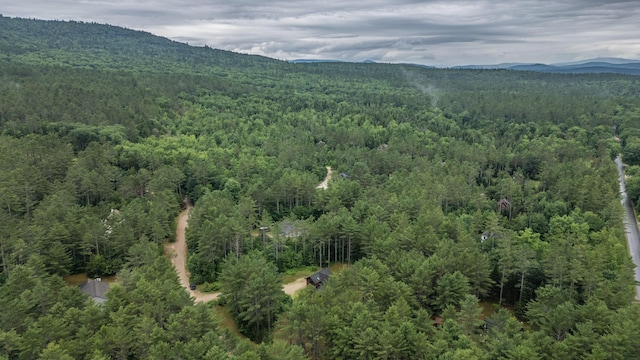 19 Pine Haven Ln, Bethel, ME 04217 - photo 92
