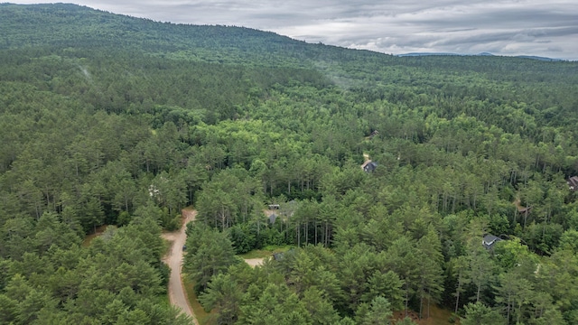 19 Pine Haven Ln, Bethel, ME 04217 - photo 93