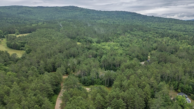 19 Pine Haven Ln, Bethel, ME 04217 - photo 94