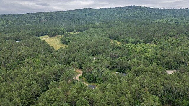 19 Pine Haven Ln, Bethel, ME 04217 - photo 95