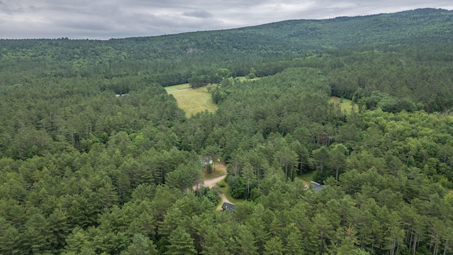 19 Pine Haven Ln, Bethel, ME 04217 - photo 96