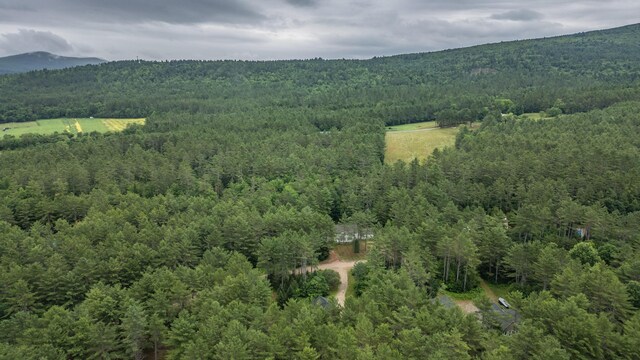 19 Pine Haven Ln, Bethel, ME 04217 - photo 97