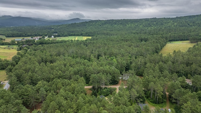19 Pine Haven Ln, Bethel, ME 04217 - photo 98