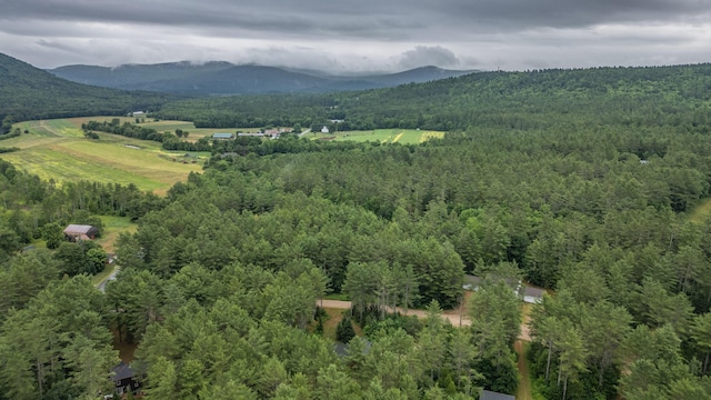 19 Pine Haven Ln, Bethel, ME 04217 - photo 99